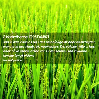 Picture 02 - 2 Korintherne 10:15 DA1871 - saa vi ikke rose os ud i det umaalelige af andres - Bible Verse Picture