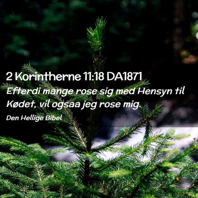 Picture 02 - 2 Korintherne 11:18 DA1871 - Efterdi mange rose sig med Hensyn til Kødet, vil - Bible Verse Picture