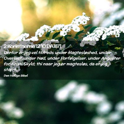 Picture 02 - 2 Korintherne 12:10 DA1871 - Derfor er jeg vel tilfreds under Magtesløshed, - Bible Verse Picture