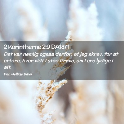 Picture 02 - 2 Korintherne 2:9 DA1871 - Det var nemlig ogsaa derfor, at jeg skrev, for at - Bible Verse Picture