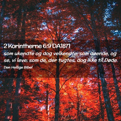 Picture 02 - 2 Korintherne 6:9 DA1871 - som ukendte og dog velkendte; som døende, og se, - Bible Verse Picture