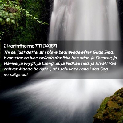 Picture 02 - 2 Korintherne 7:11 DA1871 - Thi se, just dette, at I bleve bedrøvede efter - Bible Verse Picture