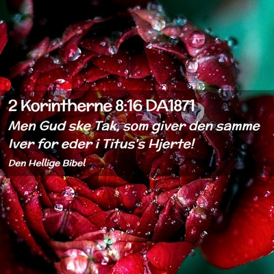 Picture 02 - 2 Korintherne 8:16 DA1871 - Men Gud ske Tak, som giver den samme Iver for - Bible Verse Picture