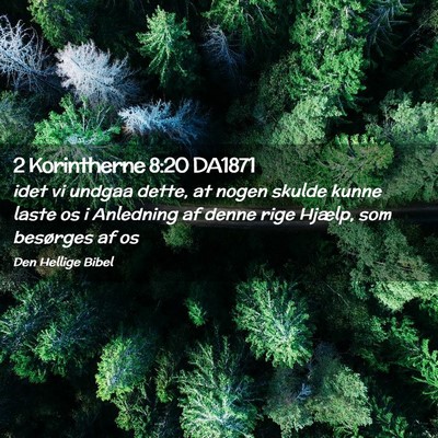 Picture 02 - 2 Korintherne 8:20 DA1871 - idet vi undgaa dette, at nogen skulde kunne laste - Bible Verse Picture