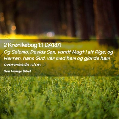 Picture 02 - 2 Krønikebog 1:1 DA1871 - Og Salomo, Davids Søn, vandt Magt i sit Rige; og - Bible Verse Picture