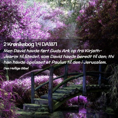 Picture 02 - 2 Krønikebog 1:4 DA1871 - Men David havde ført Guds Ark op fra - Bible Verse Picture