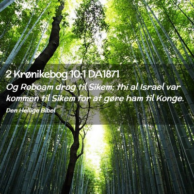 Picture 02 - 2 Krønikebog 10:1 DA1871 - Og Roboam drog til Sikem; thi al Israel var - Bible Verse Picture