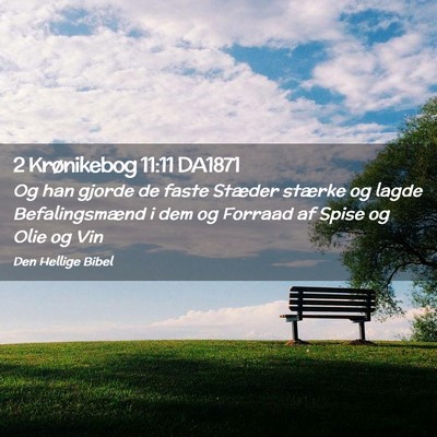 Picture 02 - 2 Krønikebog 11:11 DA1871 - Og han gjorde de faste Stæder stærke og lagde - Bible Verse Picture