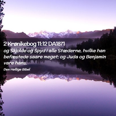 Picture 02 - 2 Krønikebog 11:12 DA1871 - og Skjolde og Spyd i alle Stæderne, hvilke han - Bible Verse Picture