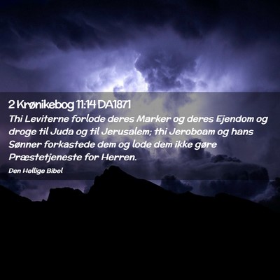 Picture 02 - 2 Krønikebog 11:14 DA1871 - Thi Leviterne forlode deres Marker og deres - Bible Verse Picture