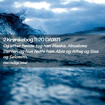 Picture 02 - 2 Krønikebog 11:20 DA1871 - Og efter hende tog han Maaka, Absaloms Datter; og - Bible Verse Picture