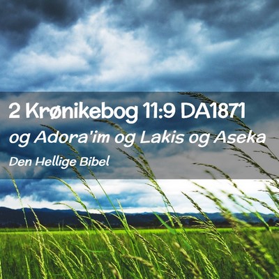 Picture 02 - 2 Krønikebog 11:9 DA1871 - og Adora'im og Lakis og - Bible Verse Picture