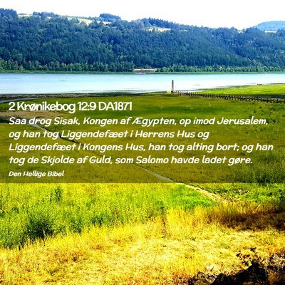 Picture 02 - 2 Krønikebog 12:9 DA1871 - Saa drog Sisak, Kongen af Ægypten, op imod - Bible Verse Picture