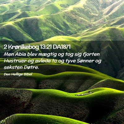 Picture 02 - 2 Krønikebog 13:21 DA1871 - Men Abia blev mægtig og tog sig fjorten Hustruer - Bible Verse Picture