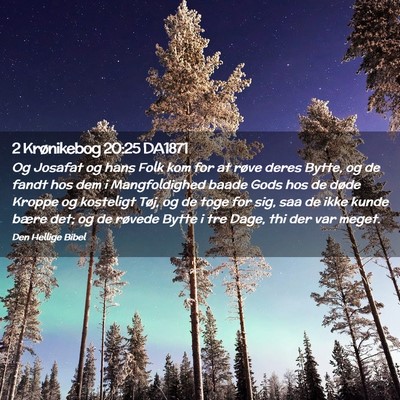Picture 02 - 2 Krønikebog 20:25 DA1871 - Og Josafat og hans Folk kom for at røve deres - Bible Verse Picture