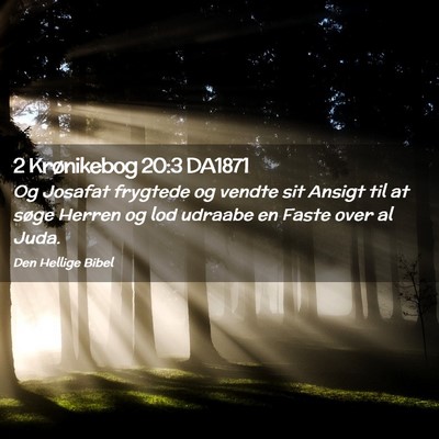 Picture 02 - 2 Krønikebog 20:3 DA1871 - Og Josafat frygtede og vendte sit Ansigt til at - Bible Verse Picture