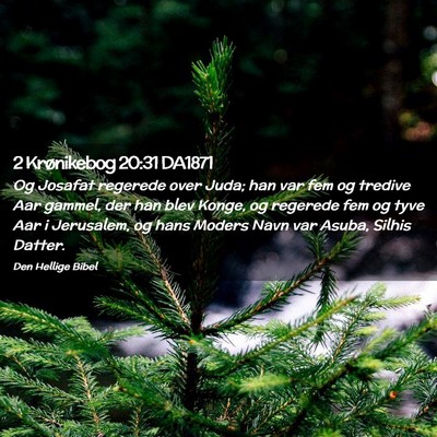 Picture 02 - 2 Krønikebog 20:31 DA1871 - Og Josafat regerede over Juda; han var fem og - Bible Verse Picture