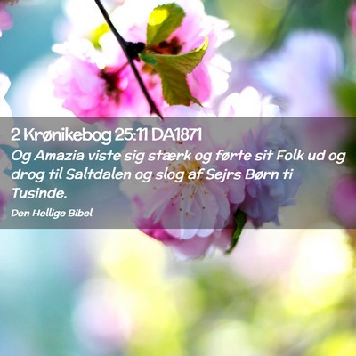 Picture 02 - 2 Krønikebog 25:11 DA1871 - Og Amazia viste sig stærk og førte sit Folk ud - Bible Verse Picture