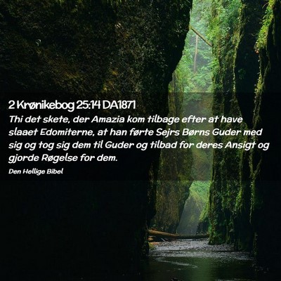 Picture 02 - 2 Krønikebog 25:14 DA1871 - Thi det skete, der Amazia kom tilbage efter at - Bible Verse Picture