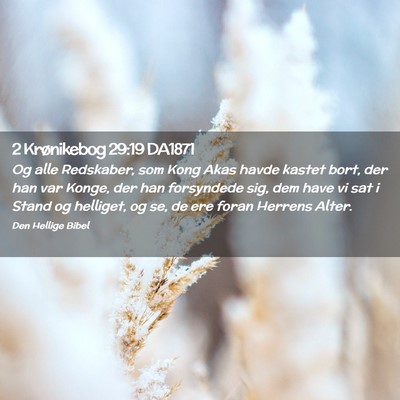 Picture 02 - 2 Krønikebog 29:19 DA1871 - Og alle Redskaber, som Kong Akas havde kastet - Bible Verse Picture