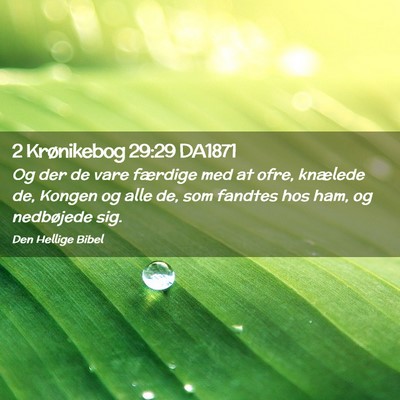Picture 02 - 2 Krønikebog 29:29 DA1871 - Og der de vare færdige med at ofre, knælede de, - Bible Verse Picture