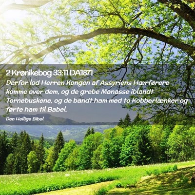Picture 02 - 2 Krønikebog 33:11 DA1871 - Derfor lod Herren Kongen af Assyriens Hærførere - Bible Verse Picture