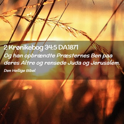 Picture 02 - 2 Krønikebog 34:5 DA1871 - Og han opbrændte Præsternes Ben paa deres Altre - Bible Verse Picture