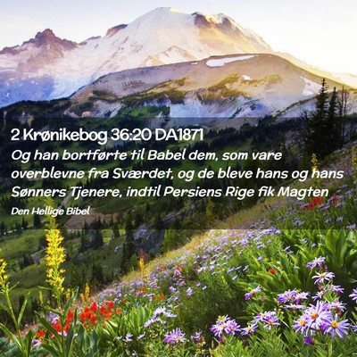 Picture 02 - 2 Krønikebog 36:20 DA1871 - Og han bortførte til Babel dem, som vare - Bible Verse Picture