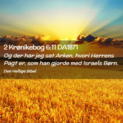 Picture 02 - 2 Krønikebog 6:11 DA1871 - Og der har jeg sat Arken, hvori Herrens Pagt er, - Bible Verse Picture