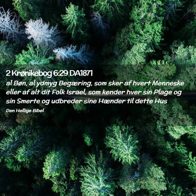 Picture 02 - 2 Krønikebog 6:29 DA1871 - al Bøn, al ydmyg Begæring, som sker af hvert - Bible Verse Picture