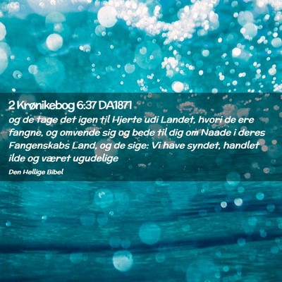 Picture 02 - 2 Krønikebog 6:37 DA1871 - og de tage det igen til Hjerte udi Landet, hvori - Bible Verse Picture