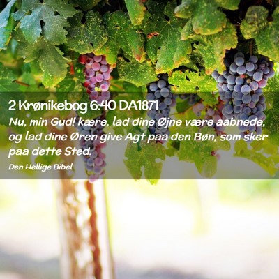 Picture 02 - 2 Krønikebog 6:40 DA1871 - Nu, min Gud! kære, lad dine Øjne være aabnede, - Bible Verse Picture