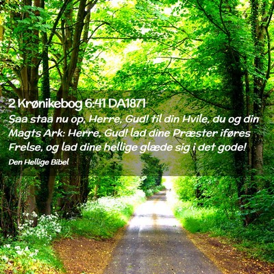 Picture 02 - 2 Krønikebog 6:41 DA1871 - Saa staa nu op, Herre, Gud! til din Hvile, du og - Bible Verse Picture