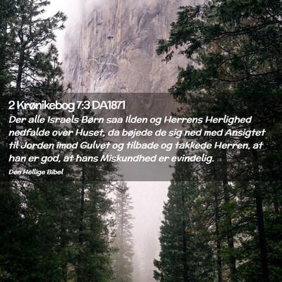 Picture 02 - 2 Krønikebog 7:3 DA1871 - Der alle Israels Børn saa Ilden og Herrens - Bible Verse Picture