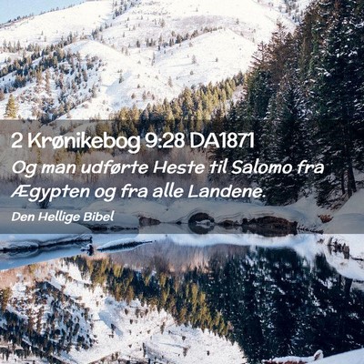 Picture 02 - 2 Krønikebog 9:28 DA1871 - Og man udførte Heste til Salomo fra Ægypten og - Bible Verse Picture