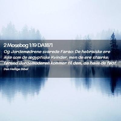 Picture 02 - 2 Mosebog 1:19 DA1871 - Og Jordemødrene svarede Farao: De hebraiske ere - Bible Verse Picture