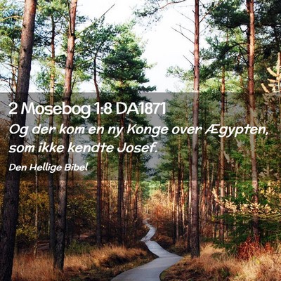Picture 02 - 2 Mosebog 1:8 DA1871 - Og der kom en ny Konge over Ægypten, som ikke - Bible Verse Picture