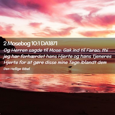 Picture 02 - 2 Mosebog 10:1 DA1871 - Og Herren sagde til Mose: Gak ind til Farao; thi - Bible Verse Picture