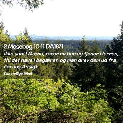 Picture 02 - 2 Mosebog 10:11 DA1871 - Ikke saa! I Mænd, farer nu hen og tjener Herren, - Bible Verse Picture