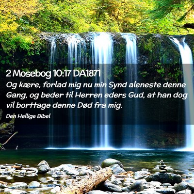 Picture 02 - 2 Mosebog 10:17 DA1871 - Og kære, forlad mig nu min Synd aleneste denne - Bible Verse Picture
