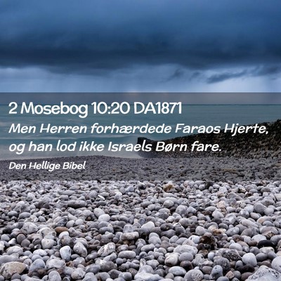 Picture 02 - 2 Mosebog 10:20 DA1871 - Men Herren forhærdede Faraos Hjerte, og han lod - Bible Verse Picture