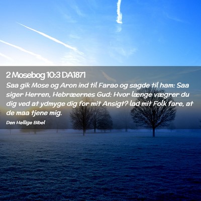 Picture 02 - 2 Mosebog 10:3 DA1871 - Saa gik Mose og Aron ind til Farao og sagde til - Bible Verse Picture