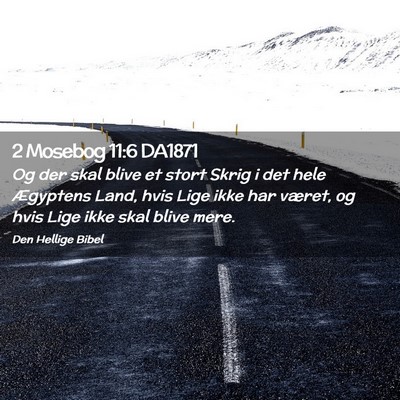 Picture 02 - 2 Mosebog 11:6 DA1871 - Og der skal blive et stort Skrig i det hele - Bible Verse Picture