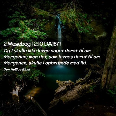 Picture 02 - 2 Mosebog 12:10 DA1871 - Og I skulle ikke levne noget deraf til om - Bible Verse Picture