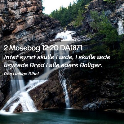 Picture 02 - 2 Mosebog 12:20 DA1871 - Intet syret skulle I æde, I skulle æde usyrede - Bible Verse Picture