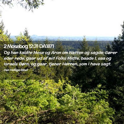 Picture 02 - 2 Mosebog 12:31 DA1871 - Og han kaldte Mose og Aron om Natten og sagde: - Bible Verse Picture