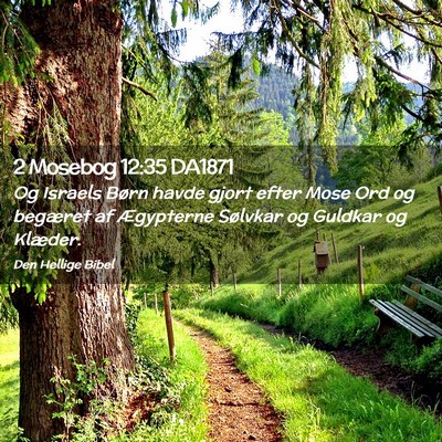 Picture 02 - 2 Mosebog 12:35 DA1871 - Og Israels Børn havde gjort efter Mose Ord og - Bible Verse Picture