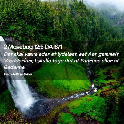 Picture 02 - 2 Mosebog 12:5 DA1871 - Det skal være eder et lydeløst, eet Aar gammelt - Bible Verse Picture