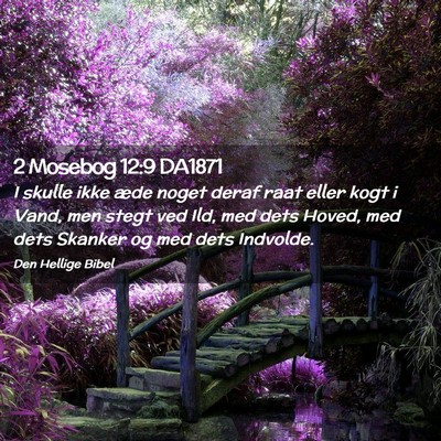 Picture 02 - 2 Mosebog 12:9 DA1871 - I skulle ikke æde noget deraf raat eller kogt i - Bible Verse Picture