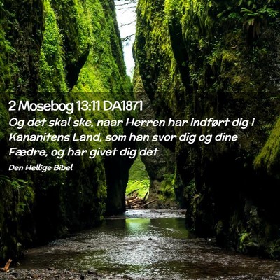 Picture 02 - 2 Mosebog 13:11 DA1871 - Og det skal ske, naar Herren har indført dig i - Bible Verse Picture